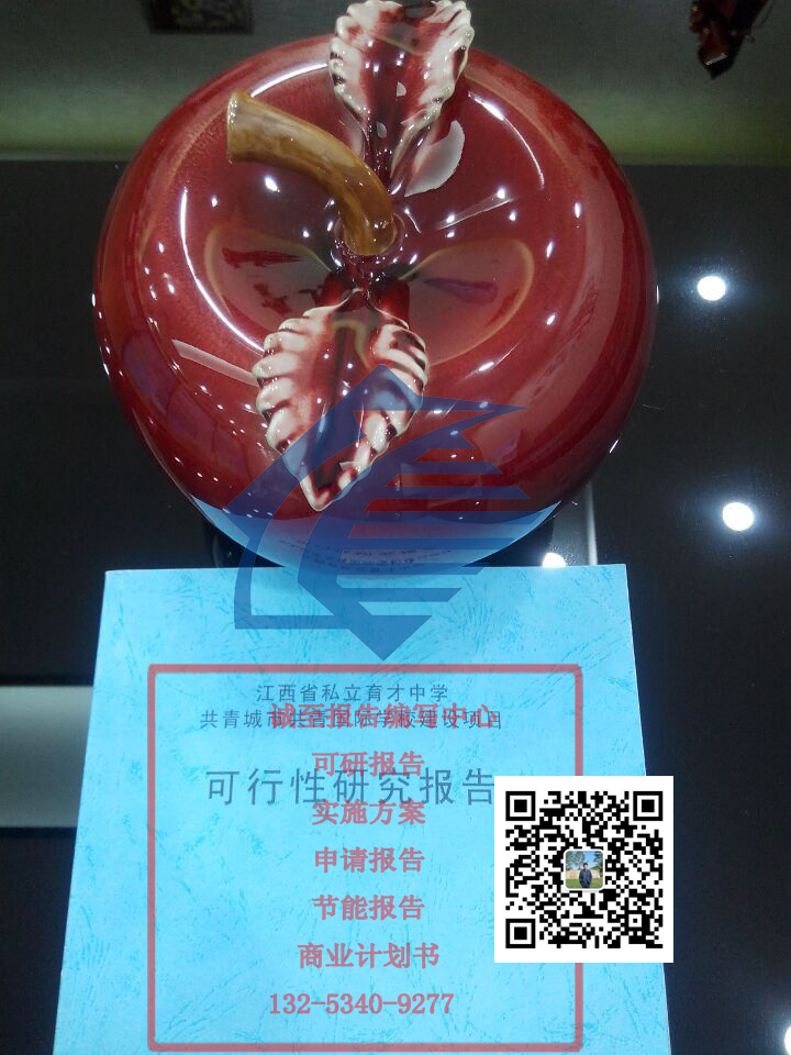 務(wù)川仡佬族苗族自治縣項目可研報告可行代寫