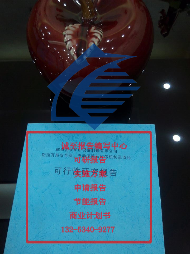 編寫可行性研究報(bào)告審批手續(xù)武川縣