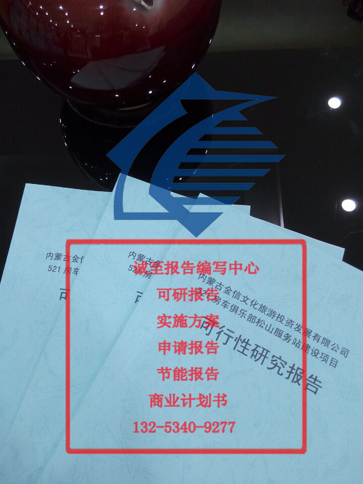代寫可行性研究報告立項報告清水河縣
