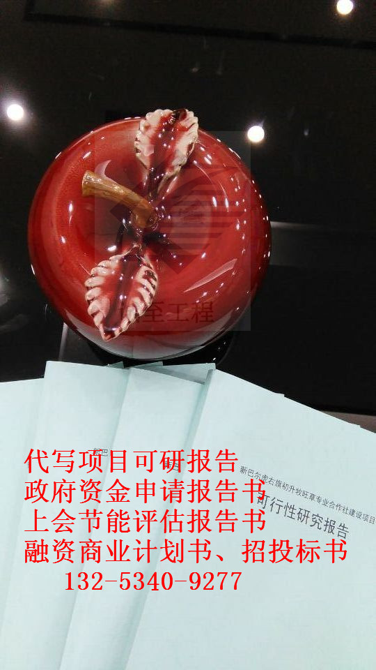 可研報(bào)告實(shí)力的證明編寫(xiě)鄂爾多斯市東勝區(qū)