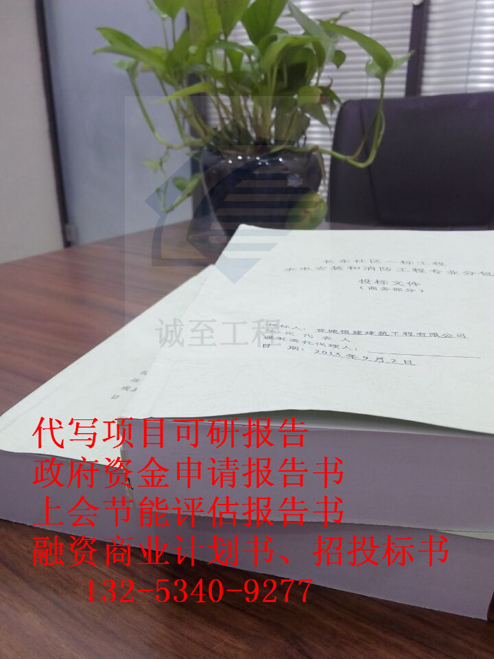 可行性研究報告格式編寫達(dá)拉特旗
