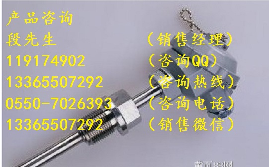 WRN-122無固定裝置裝配熱電偶保護管外徑