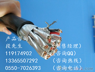 WLZR－DJYDP3YD(R)P3低煙無(wú)鹵屏蔽信號(hào)電纜