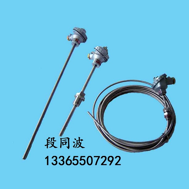 WRM2-133無固定裝置裝配熱電偶分度號(hào)