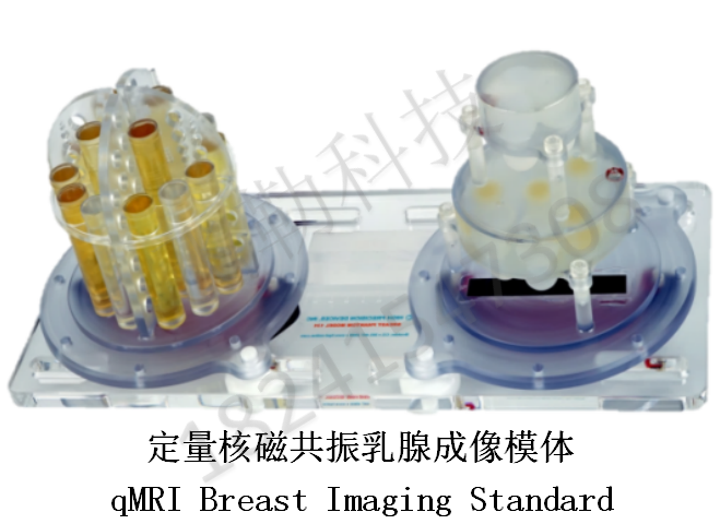 qMRI定量核磁共振乳腺模體