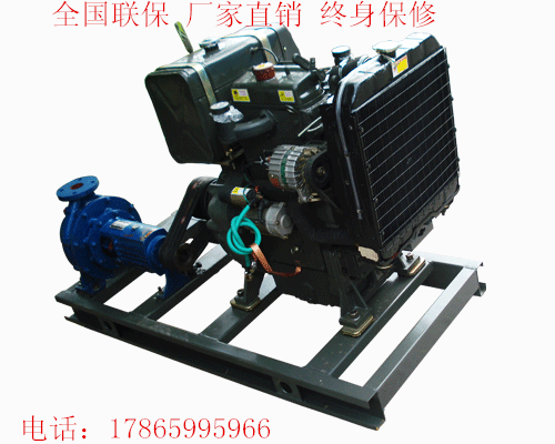 2100水泵機組 澆水用水泵 農(nóng)用水泵柴油機組濰坊水泵廠 柴油機廠