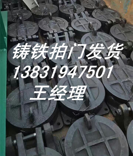 供應(yīng)PM直徑DN1200mm鑄鐵拍門