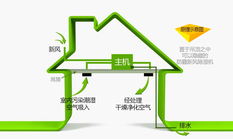 滄州防霧霾新風除濕凈化一體機價格