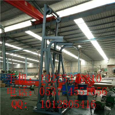 單斗食鹽上料機(jī) 不銹鋼食品級單斗提升機(jī) 塑料碎片提升機(jī)