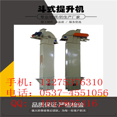 海林市雙環(huán)鏈斗式提升機 廠家定做生產(chǎn)制作