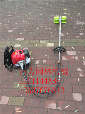 湖南廠家大量供應(yīng)背負(fù)式鋤草機