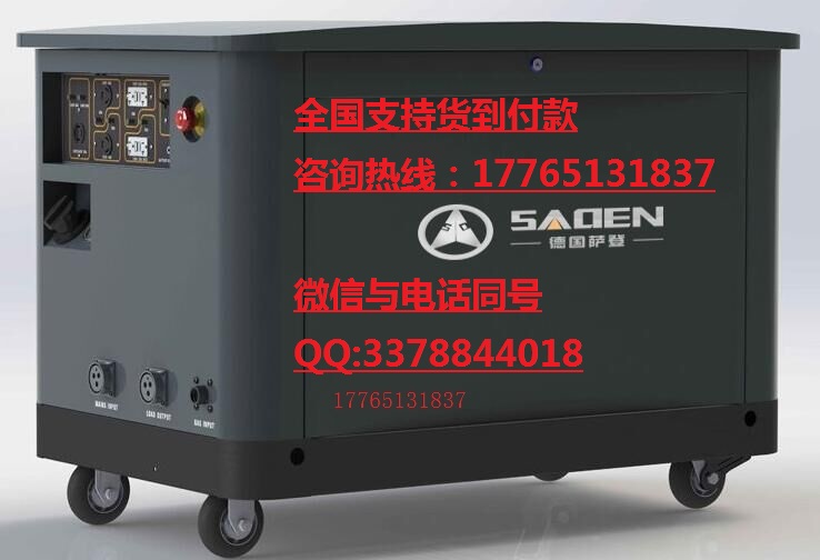 薩登集裝箱式20kw靜音汽油發(fā)電機(jī)廠家直銷
