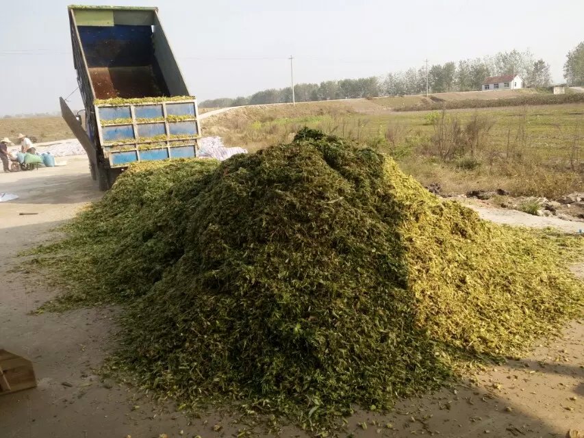玉米秸稈青儲包膜機