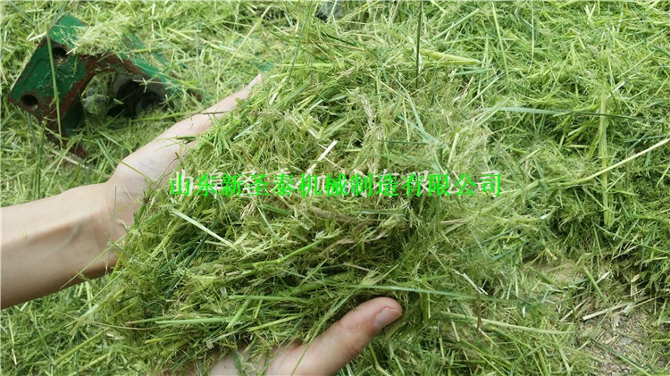 牛羊揉絲機(jī) 秸稈揉絲機(jī)哪家好  揉搓機(jī)價(jià)格