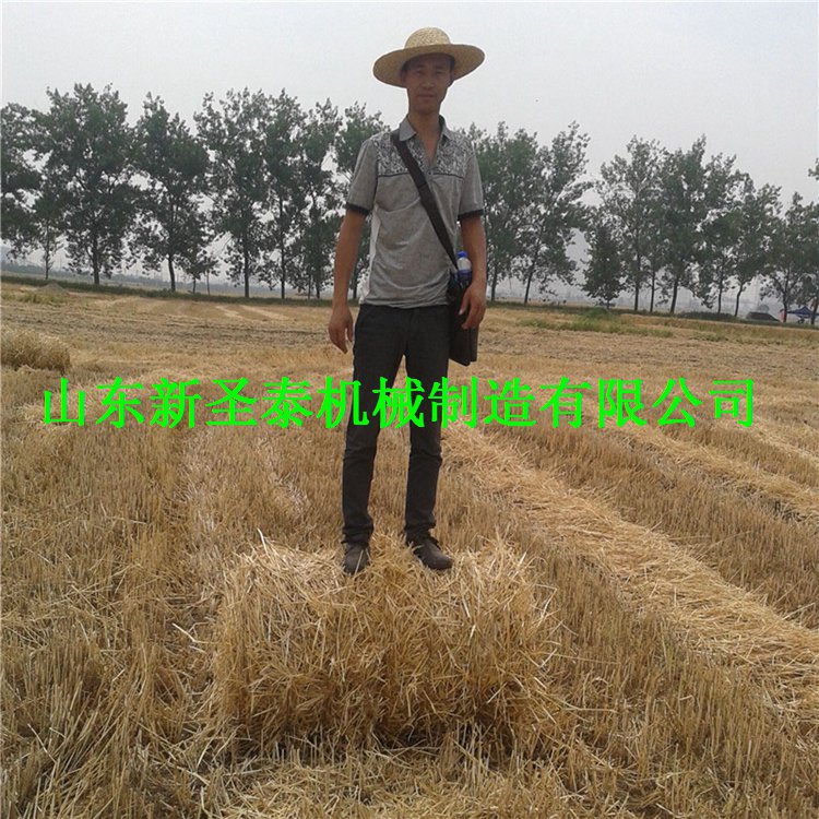 小型麥秸打捆機(jī) 熱銷麥秸打捆機(jī) 麥秸打捆機(jī)的價格