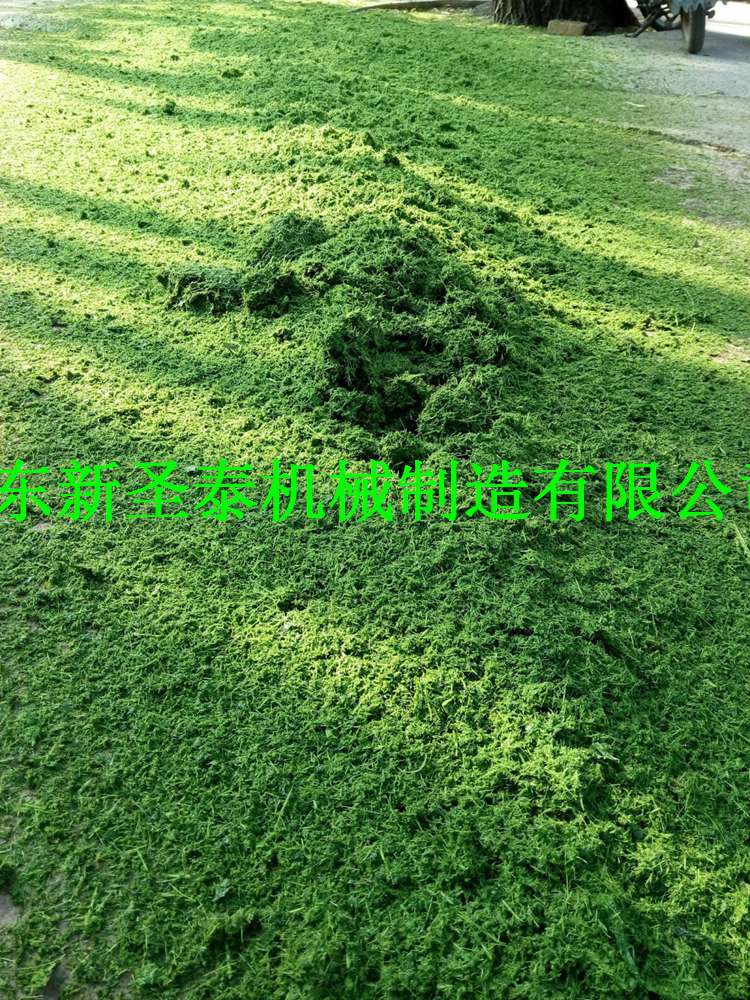 飼料打漿機價格青飼料機玉米打漿機廠家