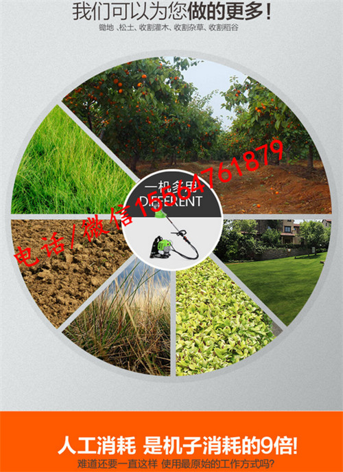 陽(yáng)江割草機(jī)的價(jià)格 農(nóng)用汽油背負(fù)式除草機(jī)