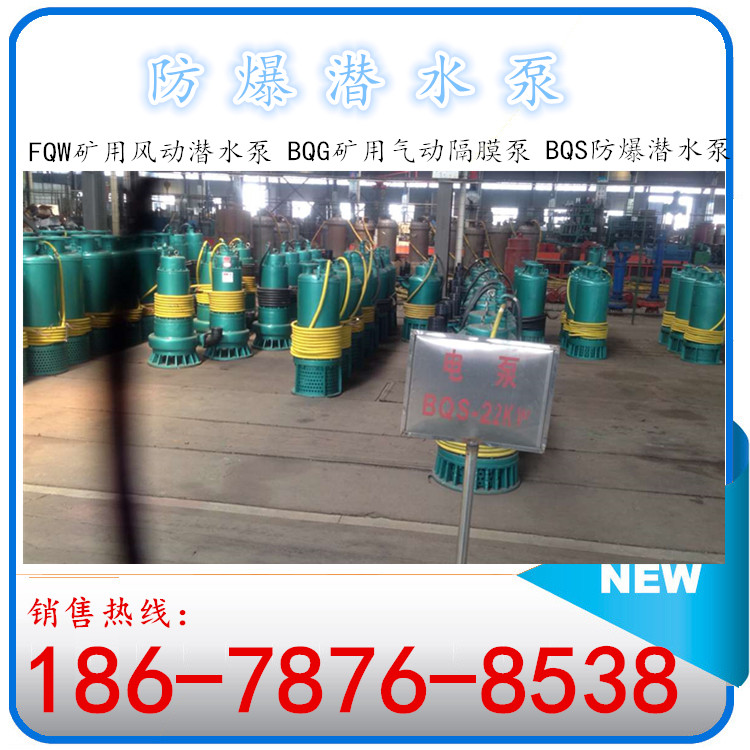 不銹鋼防爆潛水泵 BQS防爆潛水泵參數(shù)