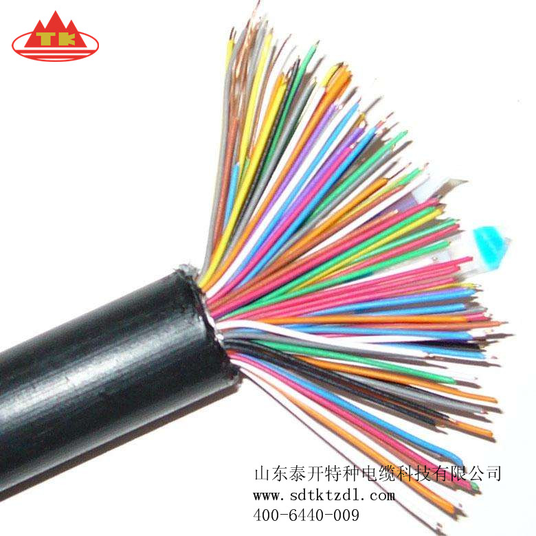 山東泰開(kāi)特纜供應(yīng)計(jì)算機(jī)與儀表電纜
