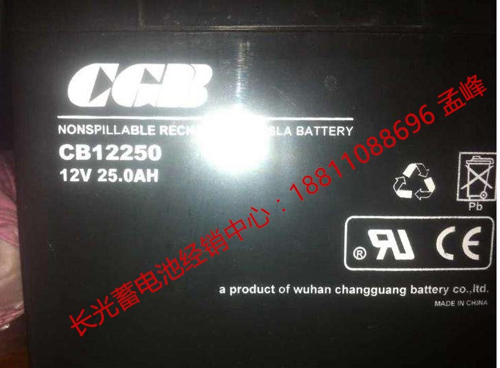 四川提供長光電池/GEL12250AG指導(dǎo)報(bào)價(jià)
