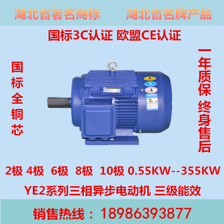 三相異步電機(jī)  省優(yōu)** 世陽(yáng)電機(jī) 廠(chǎng)家直銷(xiāo) YE2 YE3 變頻調(diào)速 制動(dòng)電機(jī)