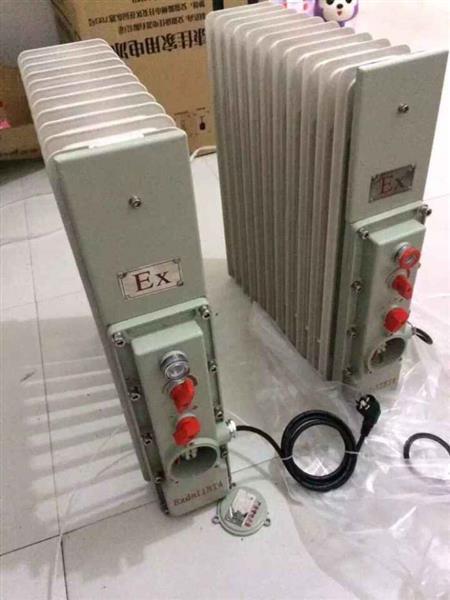 BDR51-2/11密閉式防爆油汀