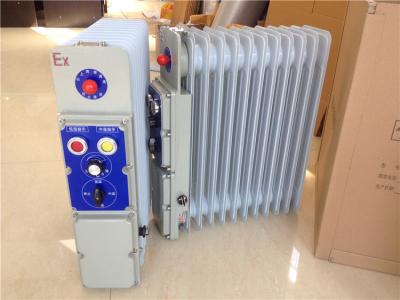 工業(yè)防爆電熱油汀