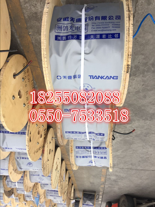 YR電纜價(jià)格，YR電纜供應(yīng)商，YR電纜【天康集團(tuán)】