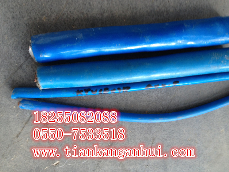 商機供應(yīng)KGGRP16*1.0 16*1.5硅橡膠電纜-安徽天康集團