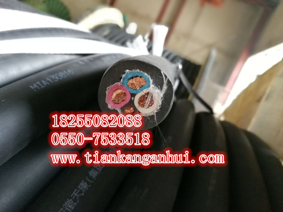 商機供應(yīng)YGC YGV1*4  1*6硅橡膠電纜-安徽天康集團