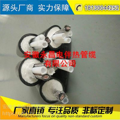 安徽永昌蒸汽伴熱管 煙氣取樣管 ptfe電伴熱采樣管線dn-38/f8*2-b
