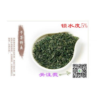 雀舌250g半斤裝新茶特級(jí)綠茶四川毛尖綠茶上市價(jià)格公司采購價(jià)格