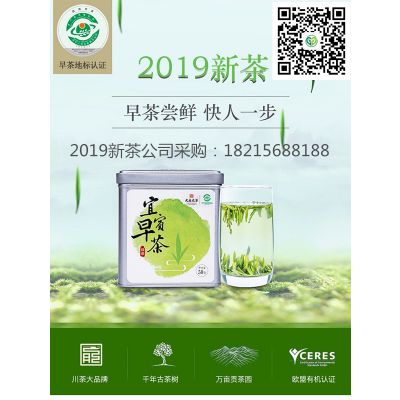 2019新茶250g采購(gòu)四川明前茶葉雀舌早春茶價(jià)格