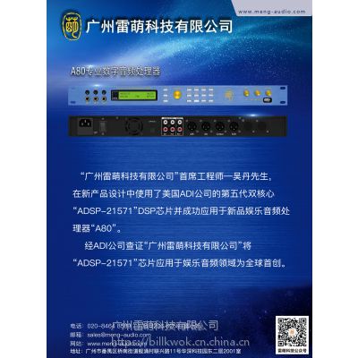 雷萌科技a80 ktv卡啦ok前級效果器專業(yè)娛樂音頻處理器