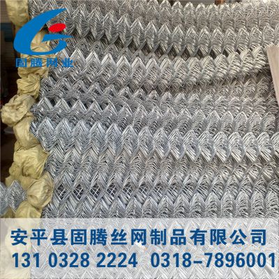 勾花網(wǎng) 鍍鋅勾花網(wǎng) 邊坡防護網(wǎng)