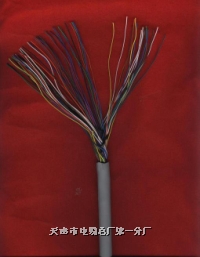 HYA-30×2×0.4 50×2×0.5 HYA1002×0.4通信電纜價(jià)格