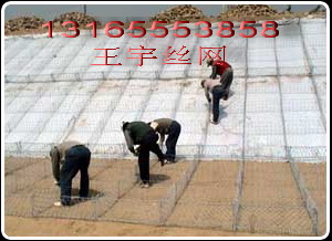 鍍鋅覆塑格賓網(wǎng)|鋅鋁合金格賓網(wǎng)|鋼絲高爾凡石籠網(wǎng)|鍍鋅覆塑雷諾護墊