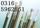 雙江拉 阻燃計(jì)算機(jī)電纜ZR-DJYVP 8*3*0.75