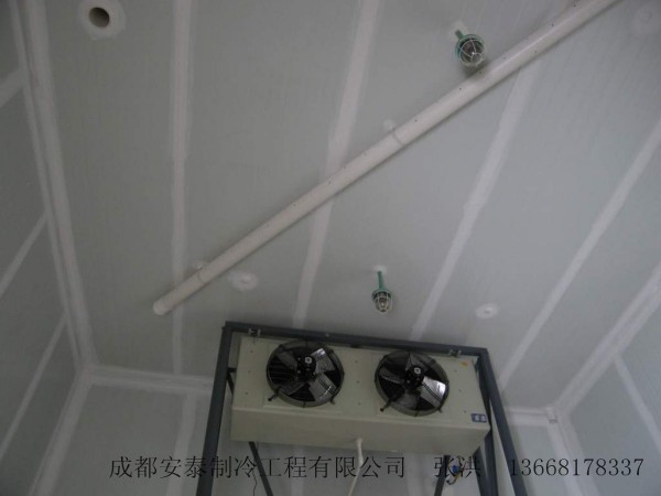 供應(yīng)香蕉臍橙催熟冷藏雙用冷庫(kù)（帶制冷,加熱,加濕,加注乙烯功能）
