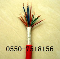 耐火計算機(jī)電纜 NH-DJGPGP，NH-DJGPGPR