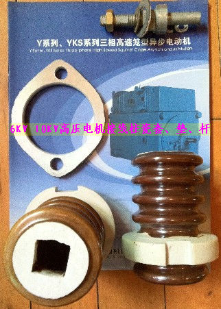 湘潭電機(jī) 蘭州電機(jī) 賽力盟電機(jī)6KV、10KV接線瓷瓶套