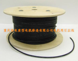 重慶批發(fā)零售上海南洋電纜集團電機用引出線