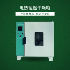 TD101-A2數(shù)顯恒溫鼓風(fēng)干燥箱