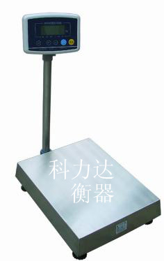 廣東電子臺(tái)秤