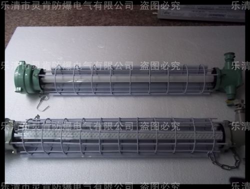DGS18/127L（A）礦用巷道燈，18W巷道燈，煤礦巷道燈，20W礦用巷道燈