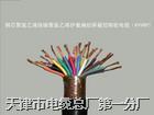 阻燃計(jì)算機(jī)電纜ZR-DJYVP 廠家價(jià)格