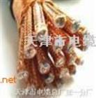 DJYPVP計(jì)算機(jī)電纜，國標(biāo)的DJYPVP計(jì)算機(jī)電纜