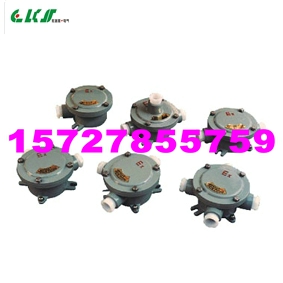 >>依客思*AH防爆接線盒>> AH-1/2、AH-3/4、AH-G1