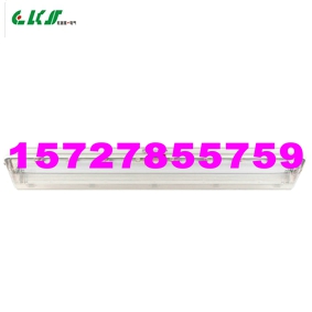 BAY51-Q，BCX6225粉塵防爆防腐單管熒光燈，BCX6226粉塵防爆防腐
