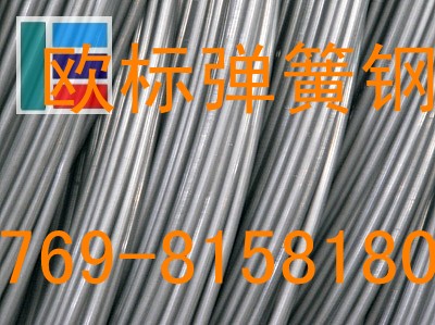 進(jìn)口優(yōu)質(zhì)彈簧鋼帶1.1248 耐高磨彈簧鋼扁線(xiàn) 進(jìn)口彈簧鋼圓棒